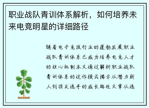 职业战队青训体系解析，如何培养未来电竞明星的详细路径